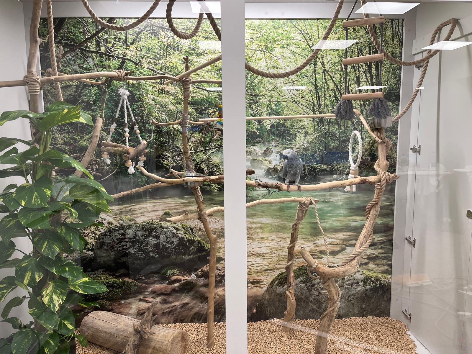 Pārdodam radošu un sirsnīgu uzņēmumu – SIA MOONA