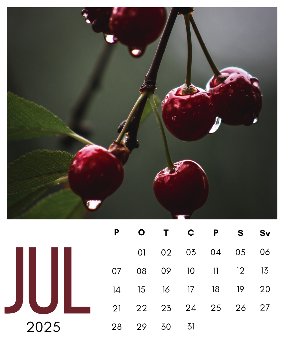 Personalizētu dāvanu internetveikala pārdošana