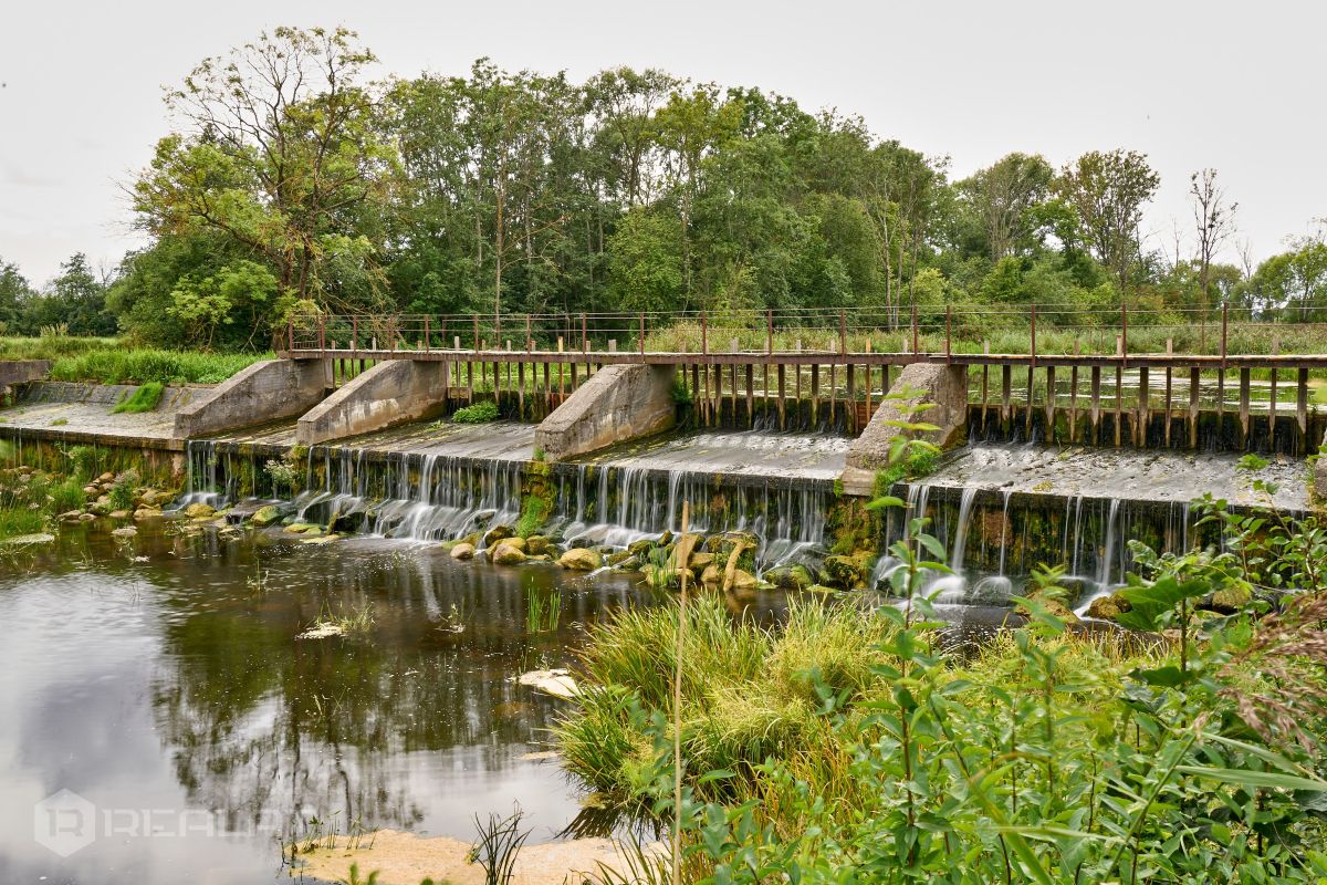 Bērzes ūdensdzirnavas