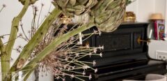Bar Mon Cheri Champagne & Cakes