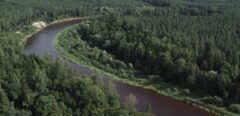 Viesmīlības bizness Gaujas krastā, 12 km no Valmieras.